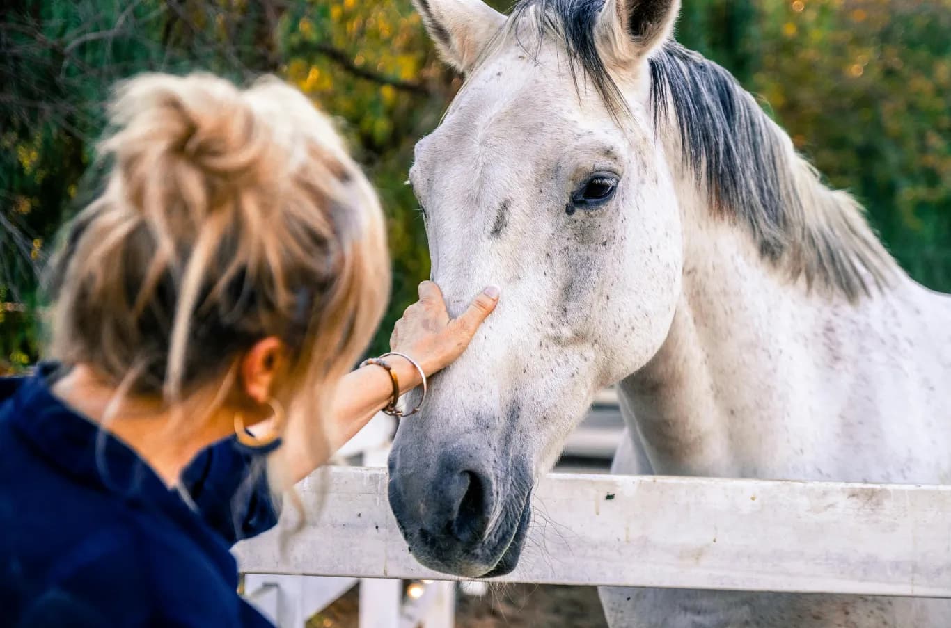 Woman gently petting a white horse at a wooden fence