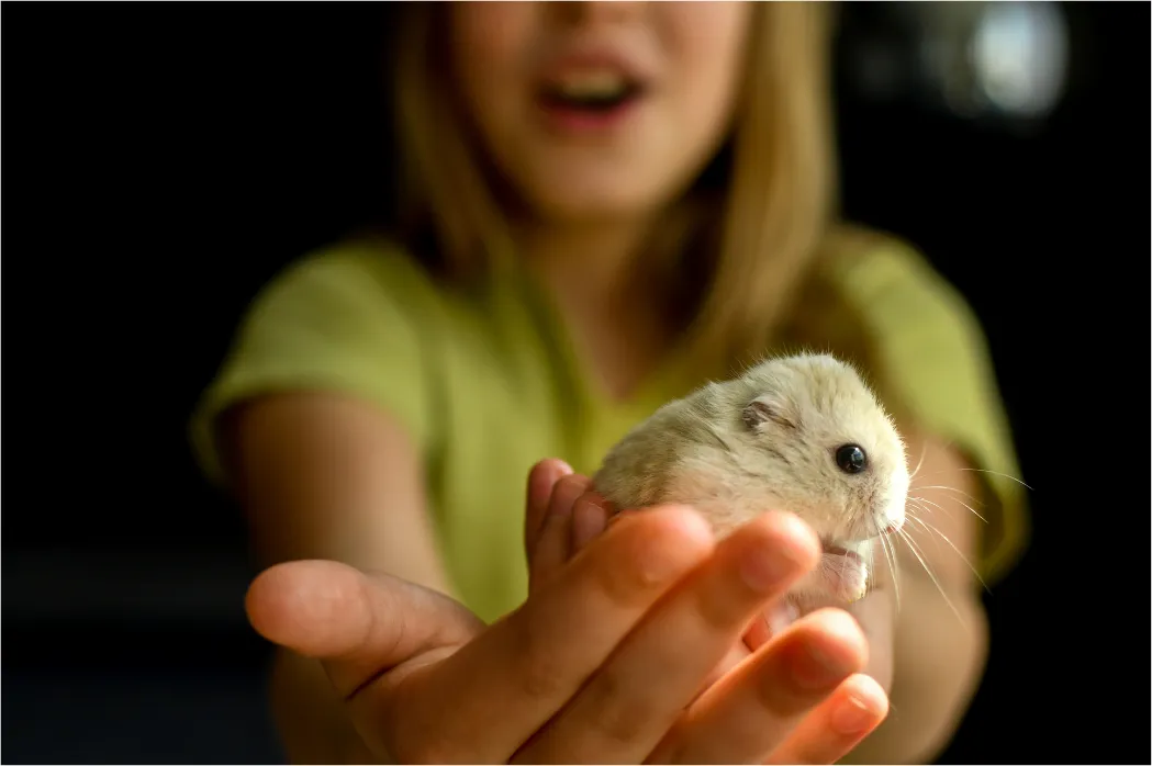 Girl in a green shirt smiling at a small hamster sitting in her open hand