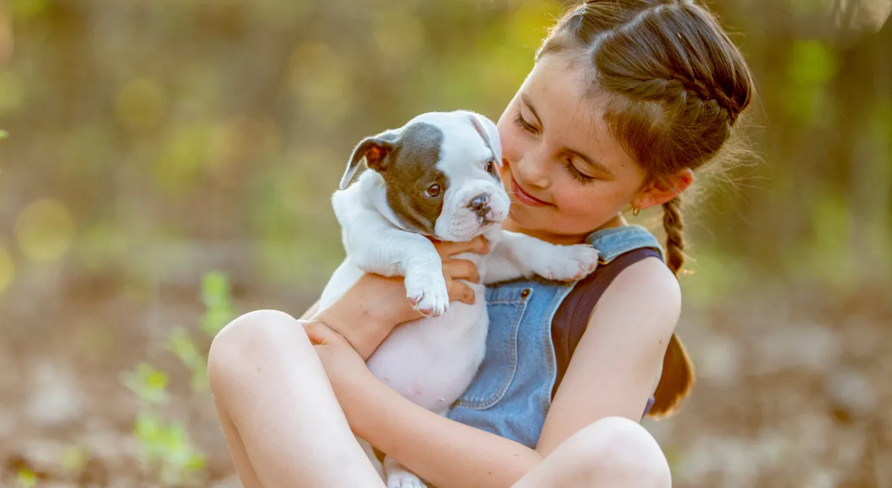 Smiling girl with braids hugging a white and brown bulldog puppy outdoors