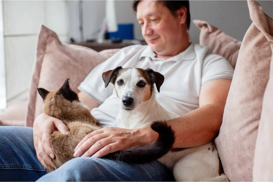 Man relaxing on a couch with a Jack Russell terrier and a Siamese cat