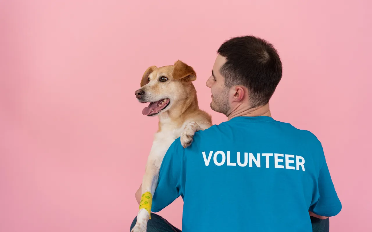Animal shelter volunteer in a blue Volunteer shirt holding a rescue dog