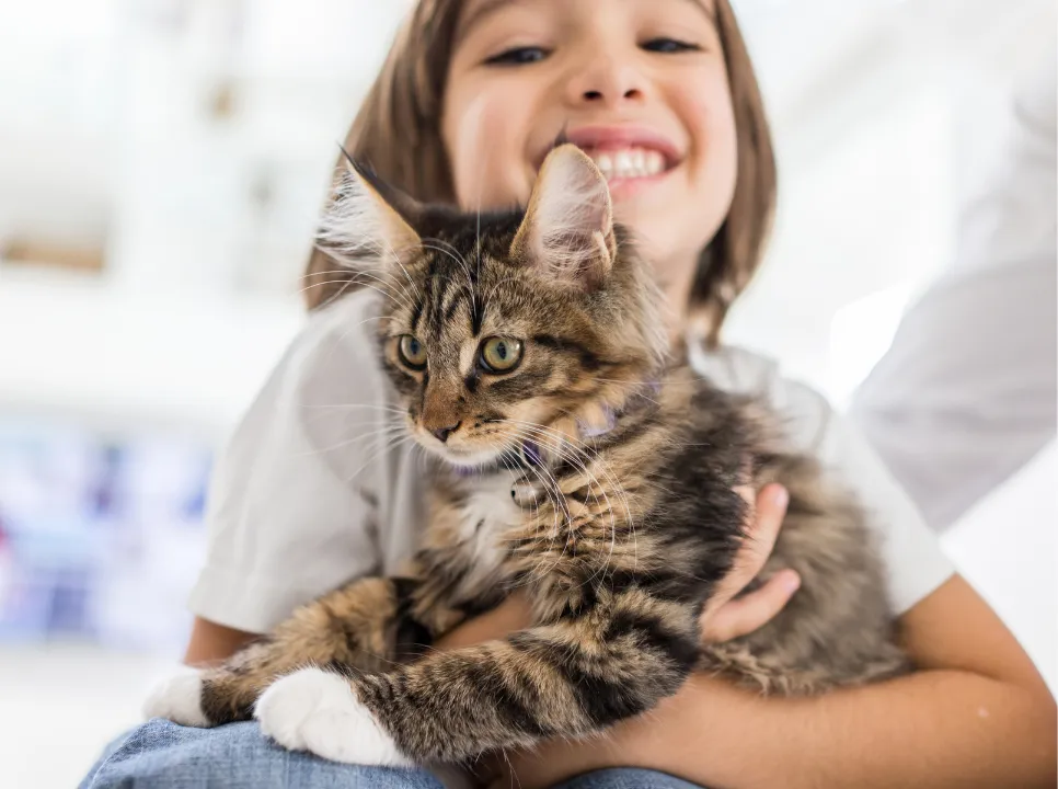 Smiling girl holding a fluffy tabby cat in her lap