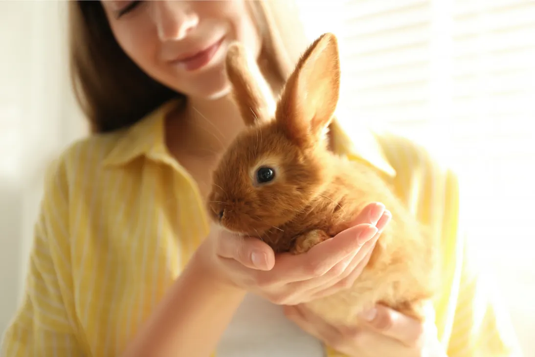 Woman in a yellow top cradling a small brown bunny in warm sunlight